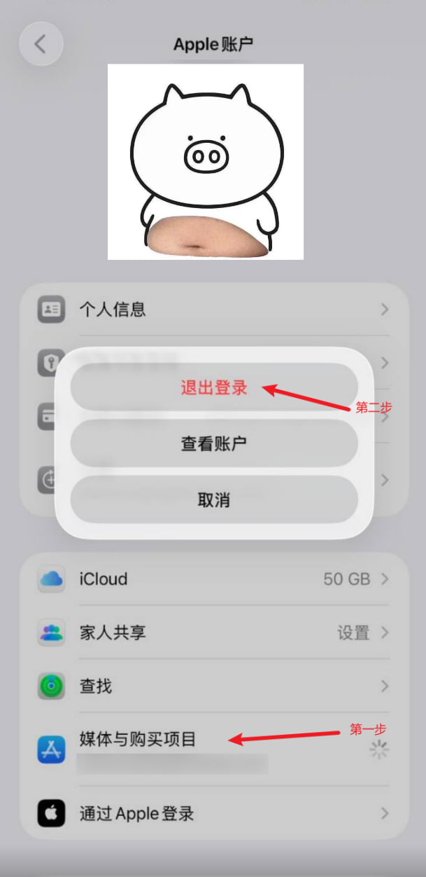 退出 Apple ID
